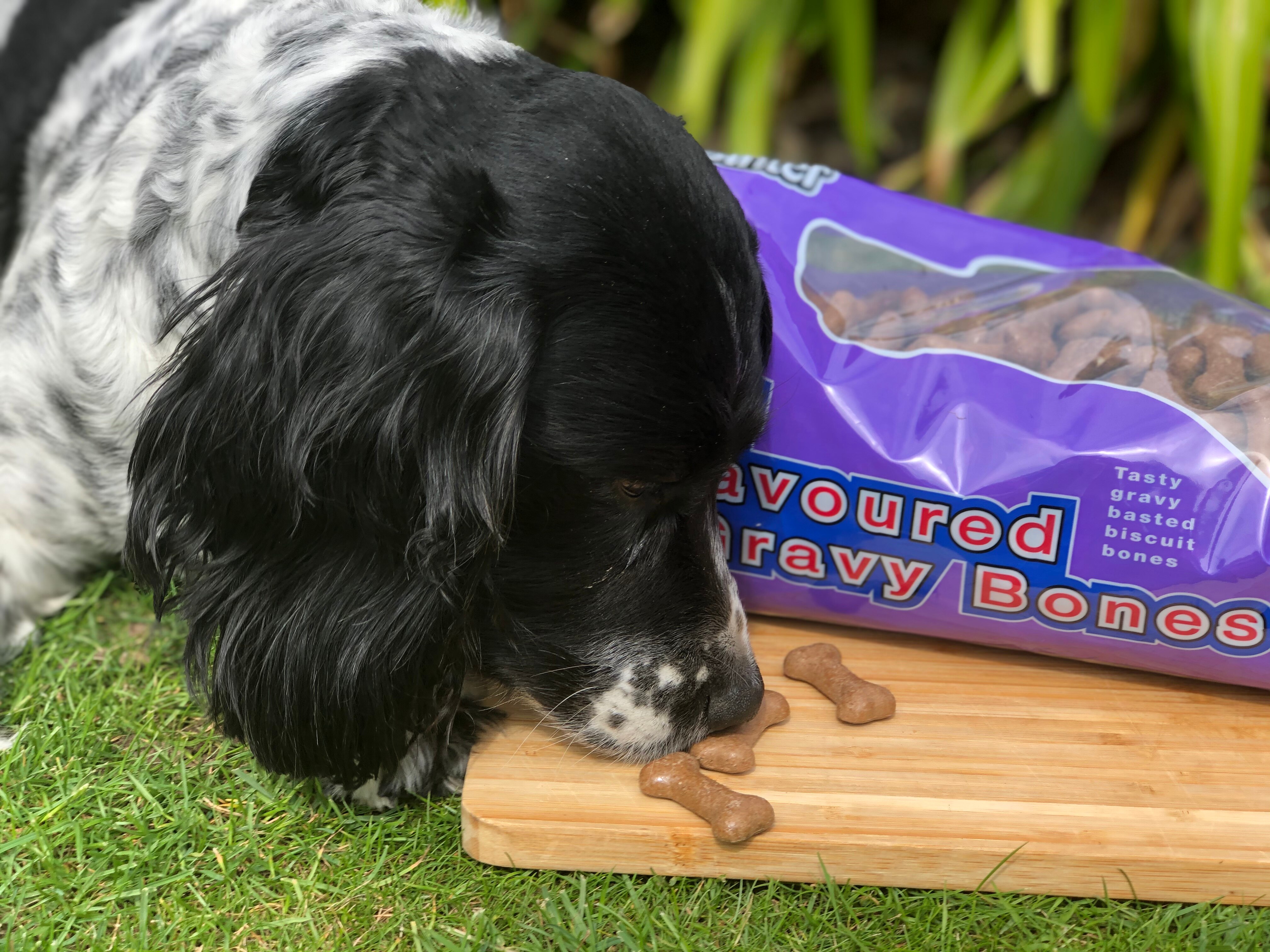 Gravy bones on sale for dogs